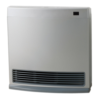 Rinnai DY15SN Silver Dynamo Natural Gas Heater 